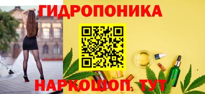 индика Заводоуковск
