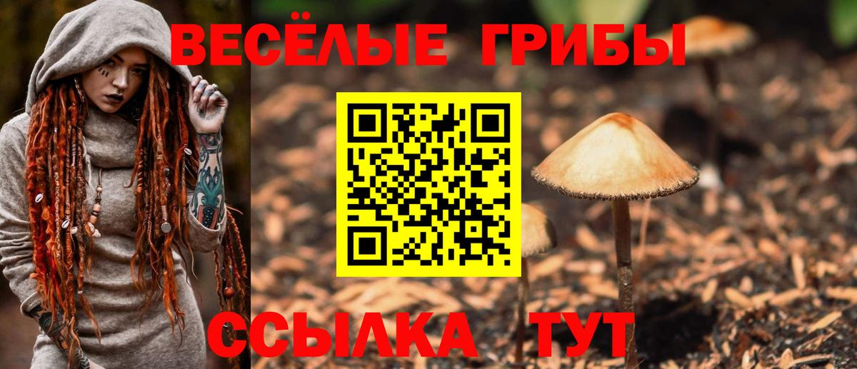 Псилоцибиновые грибы Cubensis Ливны