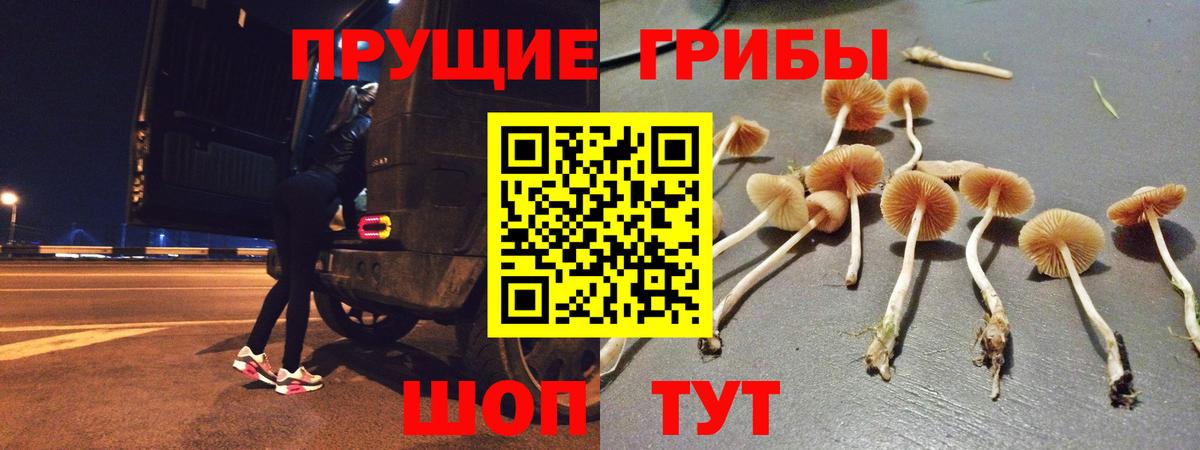 Ливны  Псилоцибиновые грибы Cubensis  Вход с VPN  Псилоцибиновые грибы GOLDEN TEACHER 